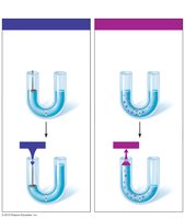 Hydrostatic and osmotic pressure