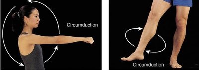 Circumduction of the arm and leg