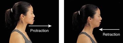 Protraction and retraction of the mandible