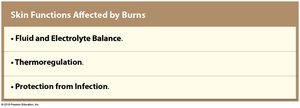 Skin functions affected by burns