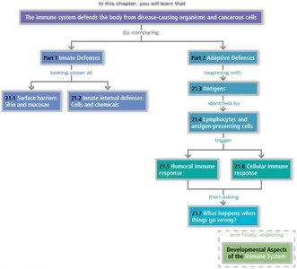 Overview of immune system defenses