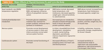 Table of major effects of thyroid hormone (T3 and T4) in the body