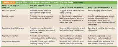 Table of major effects of thyroid hormone (T3 and T4) in the body, continued
