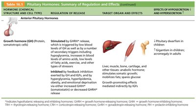 Table of anterior pituitary hormone: growth hormone