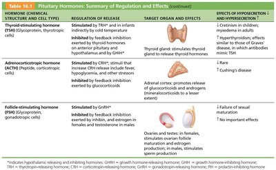 Table of anterior pituitary hormones: TSH, ACTH, FSH