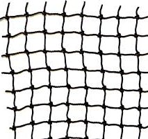 Reticular fibers