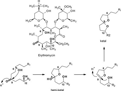 Acid-catalyzed degradation of erythromycin