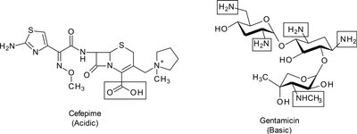 Cefepime and gentamicin