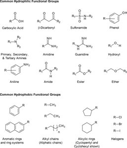 Common hydrophilic and hydrophobic functional groups