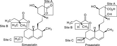 Simvastatin and pravastatin