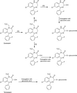 Metabolism of quazepam and temazepam