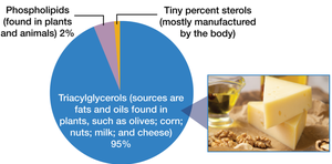 Pie chart showing the proportion of triacylglycerols, phospholipids, and sterols in dietary fats