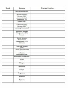 Endocrine hormone table