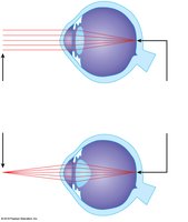 Lens convexity during focusing