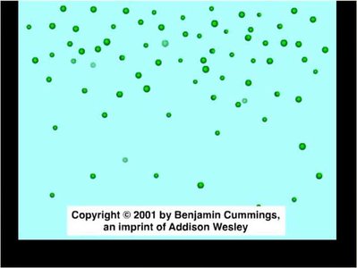 Simple diffusion animation