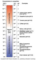 pH scale with examples of acids and bases