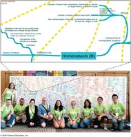 Concept map showing study strategies in A&P