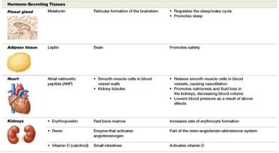 Table of hormones from other endocrine organs and tissues