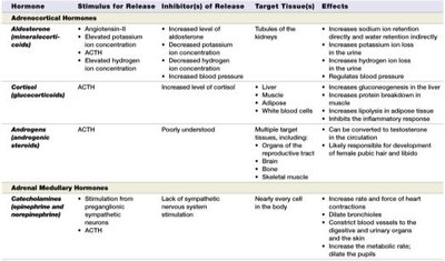 Table of adrenal gland hormones
