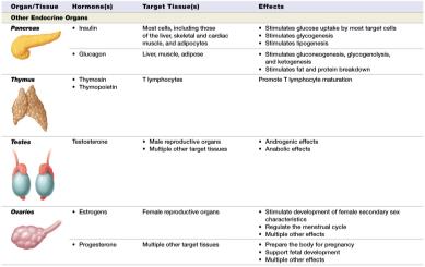 Table of hormones from pancreas and other organs