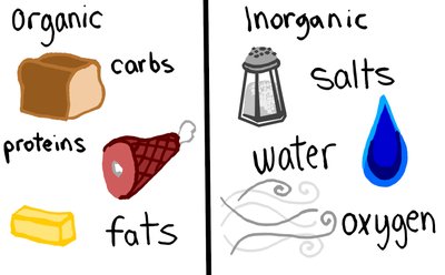 Comparison of organic and inorganic compounds