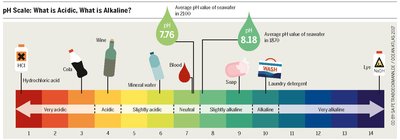 pH scale with examples of acidic and basic substances
