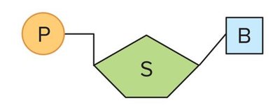 Structure of a nucleotide