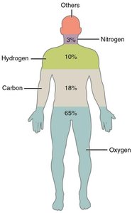 Diagram showing the elemental composition of the human body
