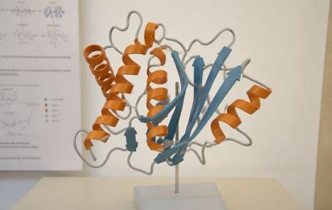 Molecular model of a steroid hormone