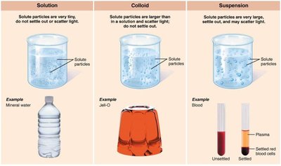 Types of Mixtures: Solution, Colloid, Suspension