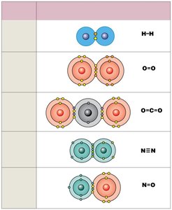 Covalent bonds in common molecules