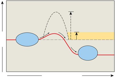 Enzymes lower activation energy