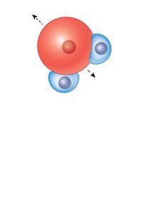 Water molecule polarity