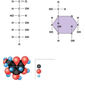 Structures of glucose