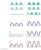 Comparison of quiet breathing and active ventilation