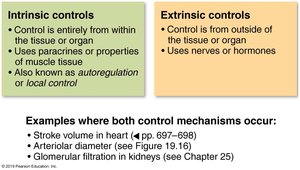 Intrinsic vs. extrinsic control mechanisms