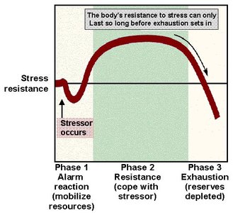 General Adaptation Syndrome stages