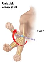 Uniaxial movement of the elbow joint