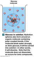 Glucose in solution
