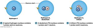 Hydrogen isotopes: hydrogen-1, deuterium, tritium