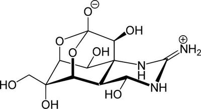Pharmacological separation of ionic currents