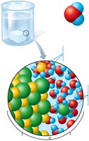 Dissociation of salt in water