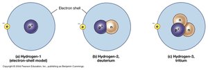 Hydrogen isotopes: hydrogen-1, deuterium, tritium