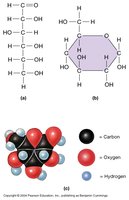 Glucose structure
