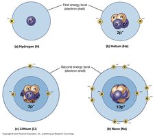 Electron shell models for hydrogen, helium, lithium, neon