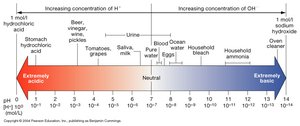pH scale with examples of acids and bases