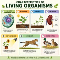 Characteristics of living organisms