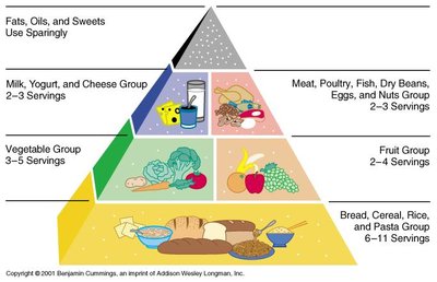 Food pyramid showing recommended servings of different food groups