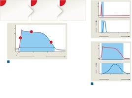 Action Potentials in Cardiac and Skeletal Muscle