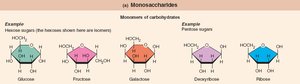 Monosaccharide structures